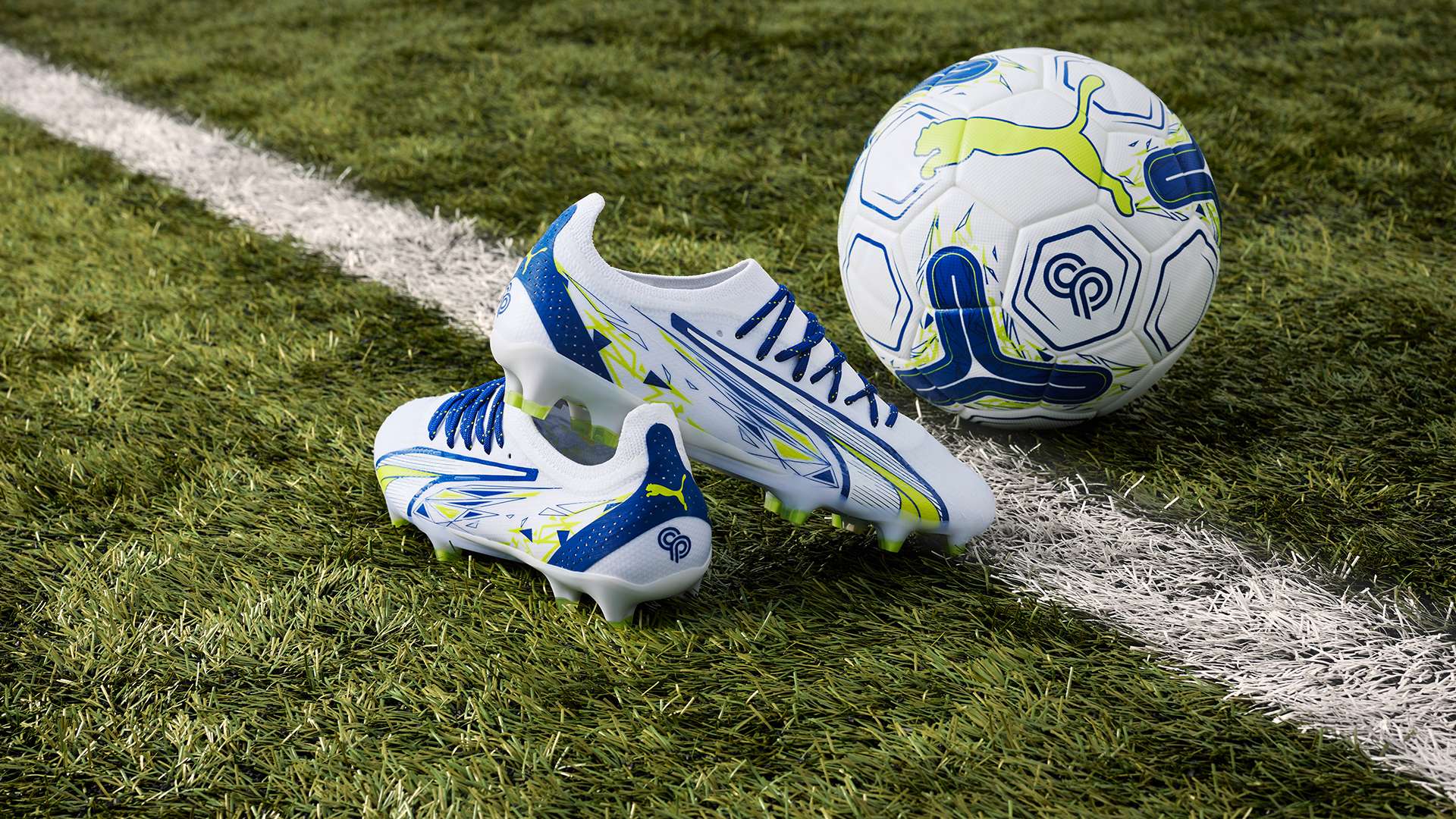 球场的建筑 球场的建筑