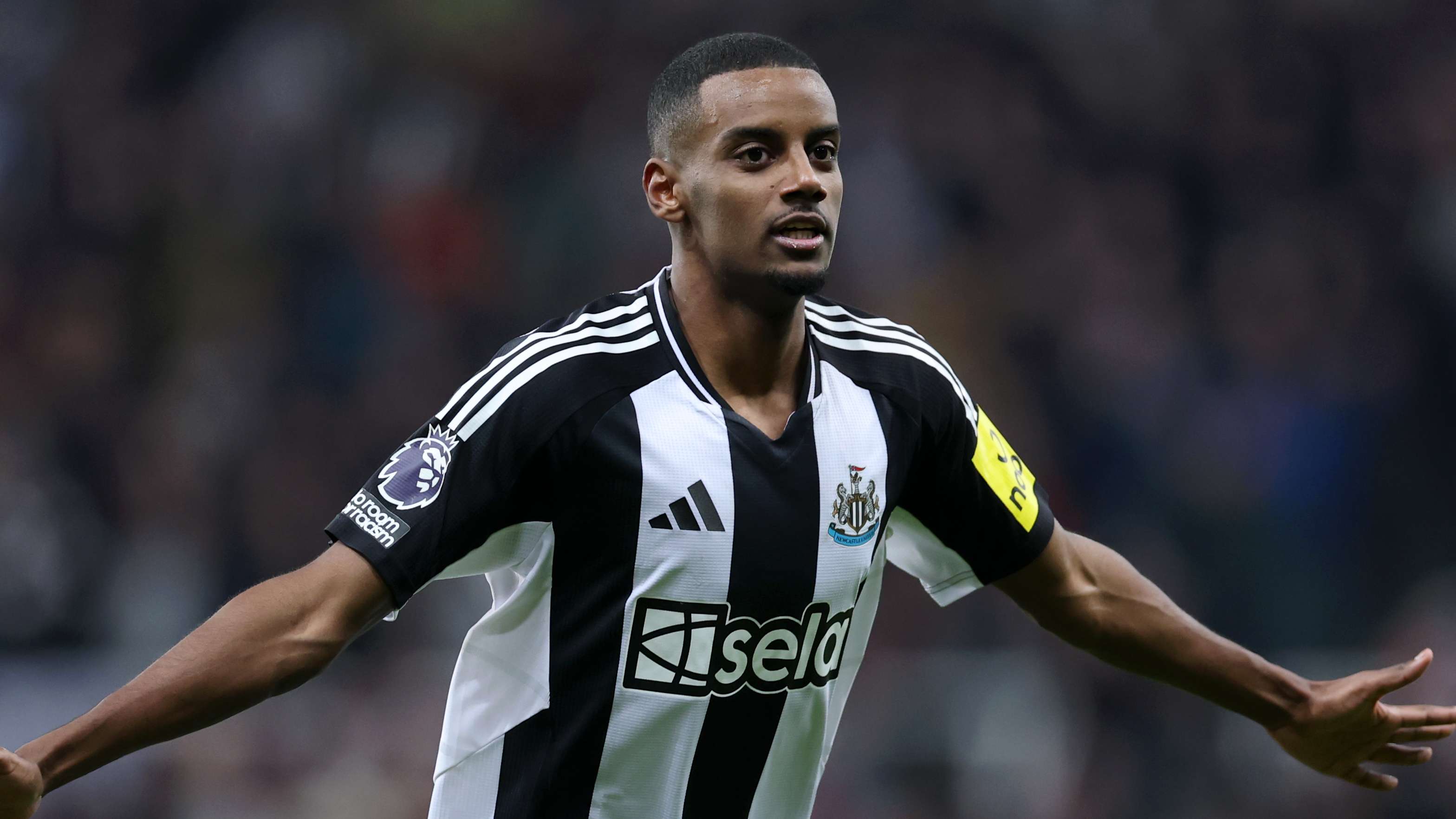 道美妙的弧 道美妙的弧